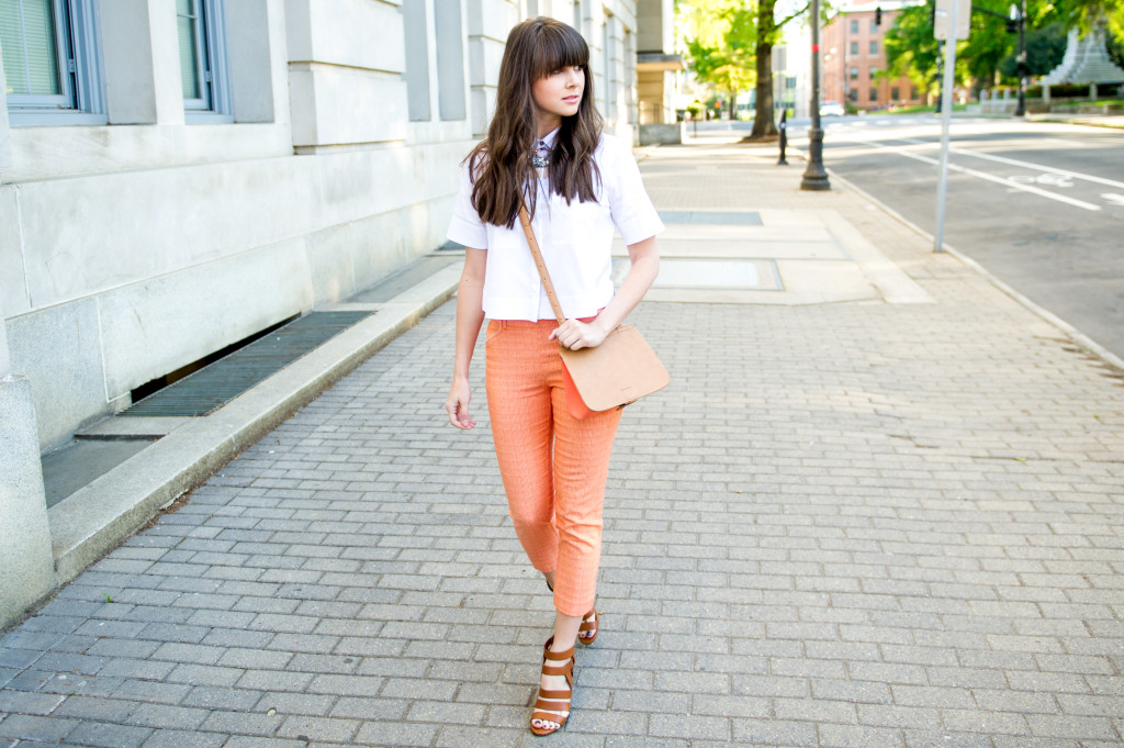 anthropologie_perfect_pant_fashion_blog-3