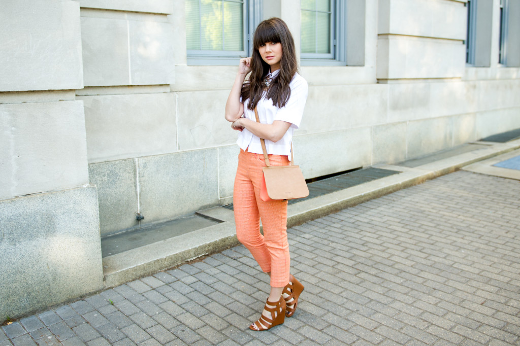 anthropologie_perfect_pant_fashion_blog-4