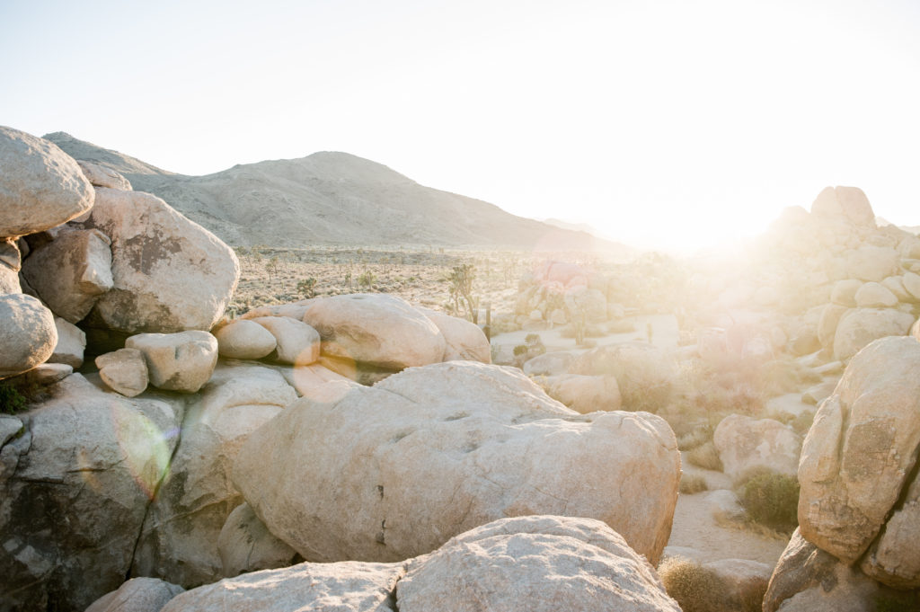 anthropologie maxi joshua tree-15