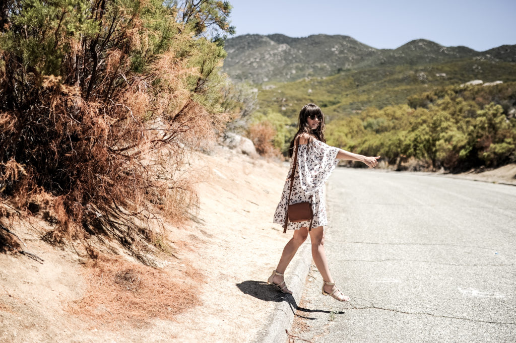 palm_springs_desert_rebecca_minkoff