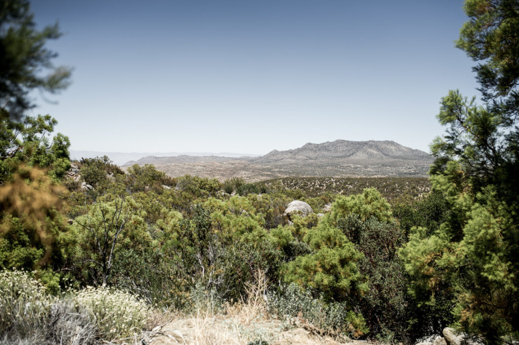 palm_springs_desert_rebecca_minkoff-5