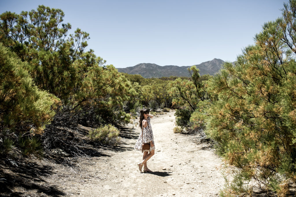 palm_springs_desert_rebecca_minkoff-6